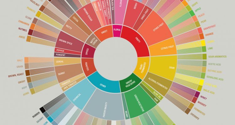 INTRODUCTION TO COFFEE